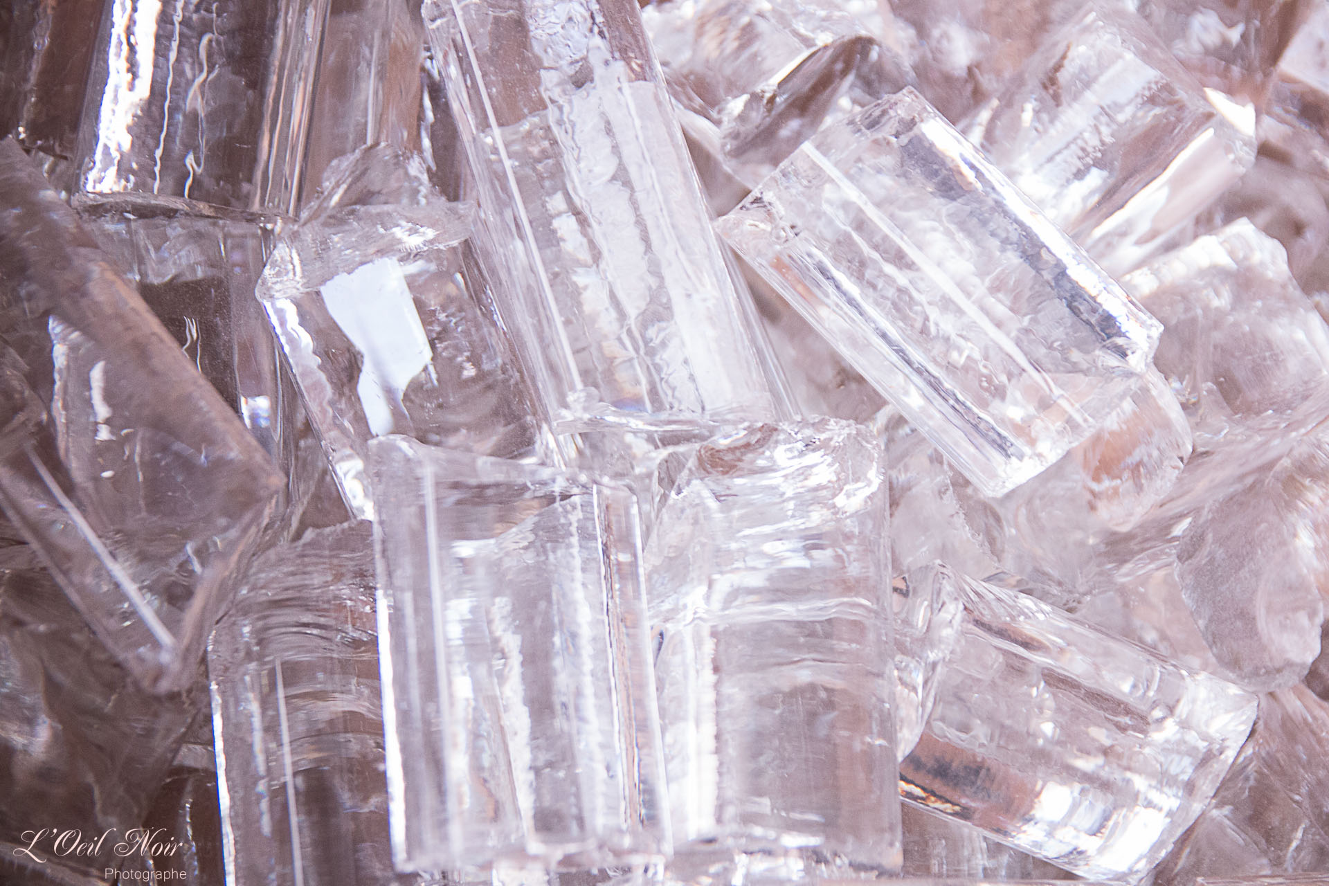 L' Oeil Noir Photographe